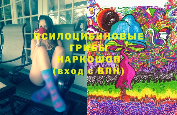меф Инсар