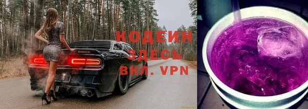 гашик Иннополис